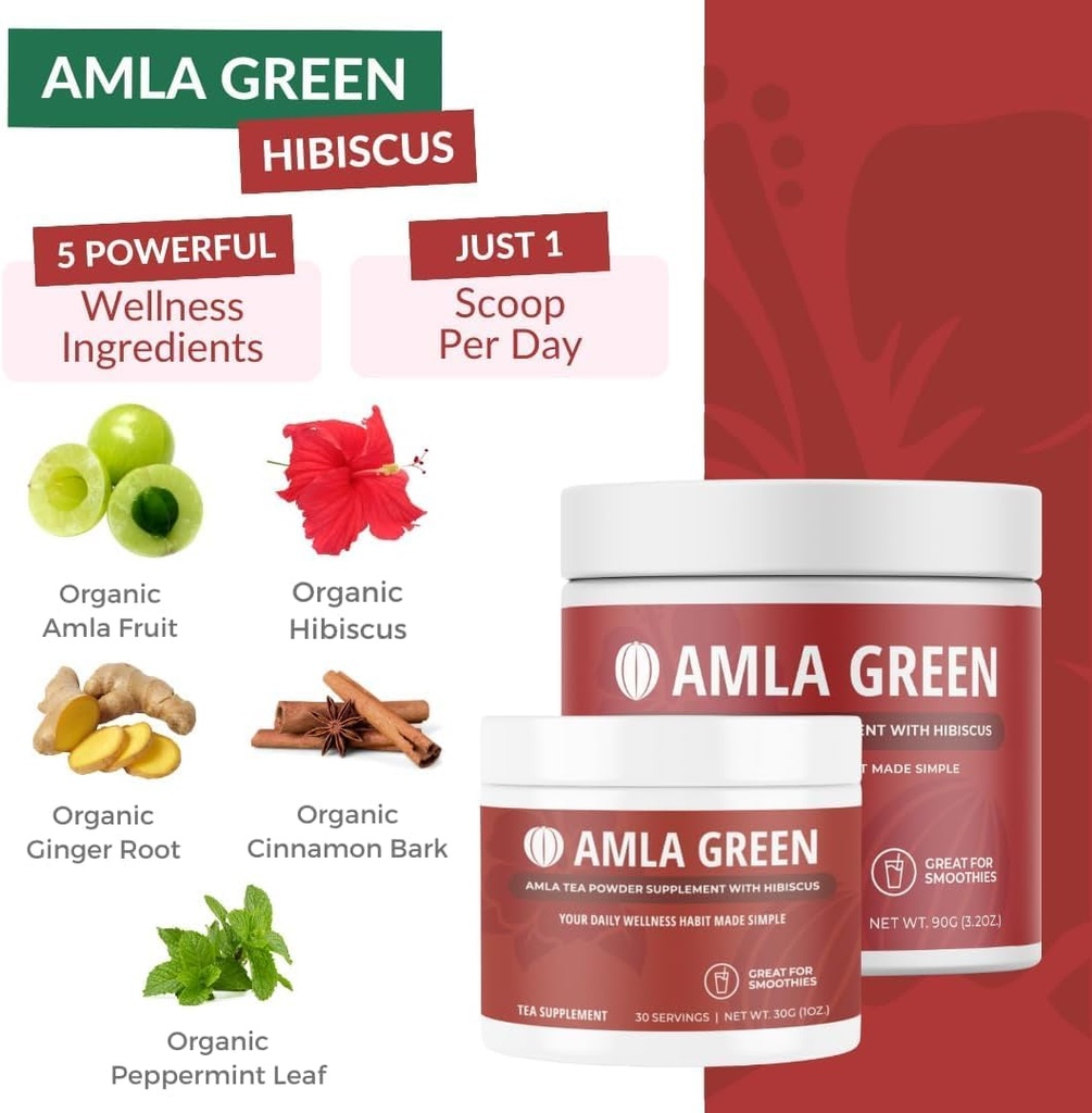 Amla Powder, Green Tea Superfood Supplement with Pumpkin Spice & Hibiscus & Elderberry, Organic, Vegan, 30 Servings 4