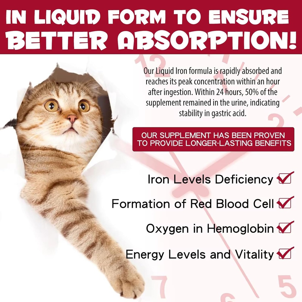 Liquid Iron Supplements for Cats and Kittens - with Folate and B12 – Supplements Anemia, Promotes Blood Health, Oxygen Supply and Blood Cell Formation – Increase Low Energy Levels – Lethargy - 2 oz 3