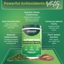 Greens+ Advanced Multi Raw Superfood | Essential Blend of Raw Foods, Superfruits and Sea Vegetables Powder | Vegan | Dietary Supplement | Non GMO, Soy Dairy & Gluten-Free | Size 9.4oz 3