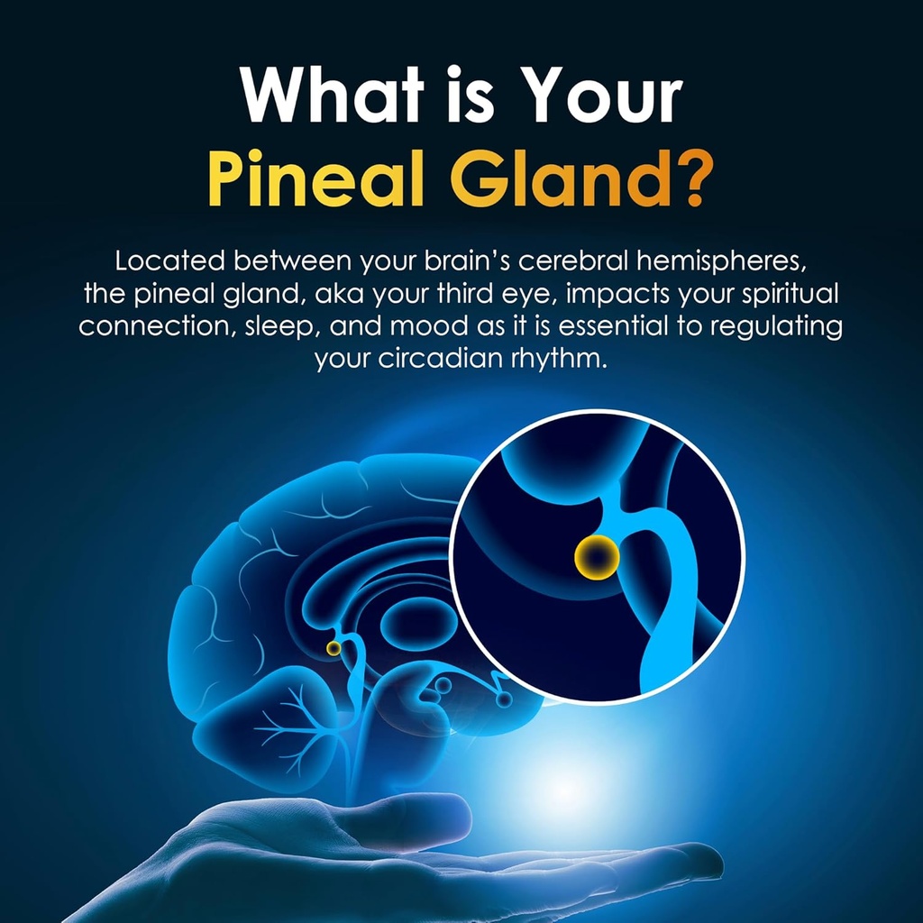 Pineal Gland Supplement - Brain Support, Focus, and Memory Vitamins for The Brain, Decalcify, Activate, and Protect Your Pineal Gland - Third Eye Awakening - Pineal Guard X 6