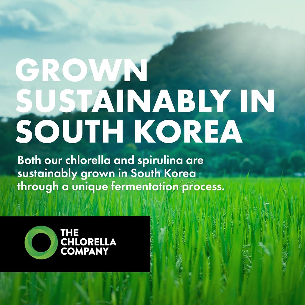 Fermented Chlorella Tablets, Chlorophyll, Green Superfood, Algae Supplement, Heavy Metal Detox, Immune Support, Broken Cell Wall, 1350 Tablets, Non-GMO, Vegan 4