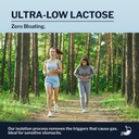 Opportuniteas Coffee Whey Protein Powder - Low Carb & Keto Friendly - Grass Fed Whey Isolate + Colombian Coffee - 60 mg Caffeine for Energy - Pre or Post Workout Drink Mix, Latte, Shake & Smoothie 1lb 6