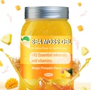 Sea Moss Gel,Irish Sea Moss Raw Organic,Sea Moss Supplement Advanced for Immune & Metabolism Support(Mango Pineapple,18.5OZ) 2
