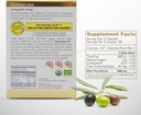 Organic Antioxidant Polyphenols Rich Olive Leaf Extract Supplement Capsules Olivie | Hydroxytyrosol Oleuropein Anti Aging Supplement | 40 Capsules 4