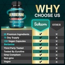 Satoomi 25in1 Berberine Supplement - Berberine Hcl - Ceylon Cinnamon - Milk Thistle and More 5