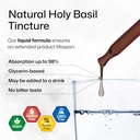 BIO KRAUTER Holy Basil Tincture - Tulsi Powder Liquid Extract - Supports Calmness and Relaxation - Ursolic Acid Supplement - Alcohol and Sugar Free - Vegan Drops 2 Fl.Oz. 5
