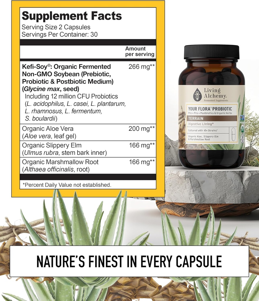 Your Flora Probiotic Terrain – Non-GMO Probiotics with Fermented Soybean, Aloe Vera, & Slippery Elm for Gut Balance & Digestion – Prebiotics, Postbiotics, Digestive Enzymes – Living Alchemy, 60 Pcs 6