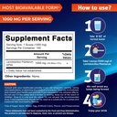 Vitamatic Lactobacillus Plantarum Probiotic Powder - Digestive Health Support - 100 Gram (3.5 OZ) - 100 Servings 3