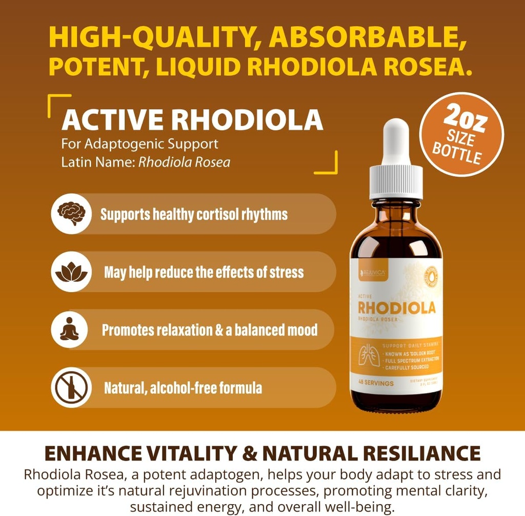Active Rhodiola - Rhodiola Root Extract with Natural Rosavins - Liquid Delivery for Better Absorption - Supports Energy & Stress 4