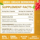 Berberine with Ceylon Cinnamon 1200mg – 97% Purity- Non-GMO, Gluten-Free, Lab-Tested Vegan Berberine Supplement (120 Count) 3