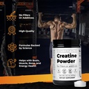 Santa Cruz Paleo Creatine Powder, Supports Muscle Growth & Energy, Gluten Free, Keto, Sugar Free, Paleo, No Fillers or Additives, Creatine Monohydrate Powder, 14.1oz, 80 Servings 3