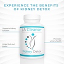 Kidney Support Supplement - 60 Capsules - 200 mg Cranberry Extract with Astragalus Root, Uva Ursi Leaf Powder, & Chanca Piedra Powder for Kidney Detox Cleanse & Overall Urinary Wellness 6