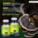 Mushroom Gummies Lions Mane Supplement Mushroom Supplement with Lions Mane, Turkey Tail, Cordyceps, Reishi, Chaga Extract | Brain Health and Immune Support Gummies, 120 Count 5