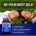 Bacopa Monnieri Supplement - Bacopa Supplements | USDA Organic Bacopa Monnieri Organic | 20X Concentrated Extract | 50% Bacosides | Brahmi Capsules | 60 Bacopa Monnieri Capsules | Bacopa Extract 5