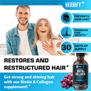 HERBIFY Bundle - Lions Mane Drops & Biotin and Collagen - Brain, Hair, Skin & Nails Support 6