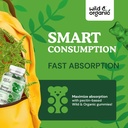 Wild & Organic Chanca Piedra Stone Breaker Gummies 1600mg - Kidney Cleanse Detox & Gallbladder Support - Kidney Stones Dissolver w/Chanca Piedra Herb - 60 Vegan Gummies 5