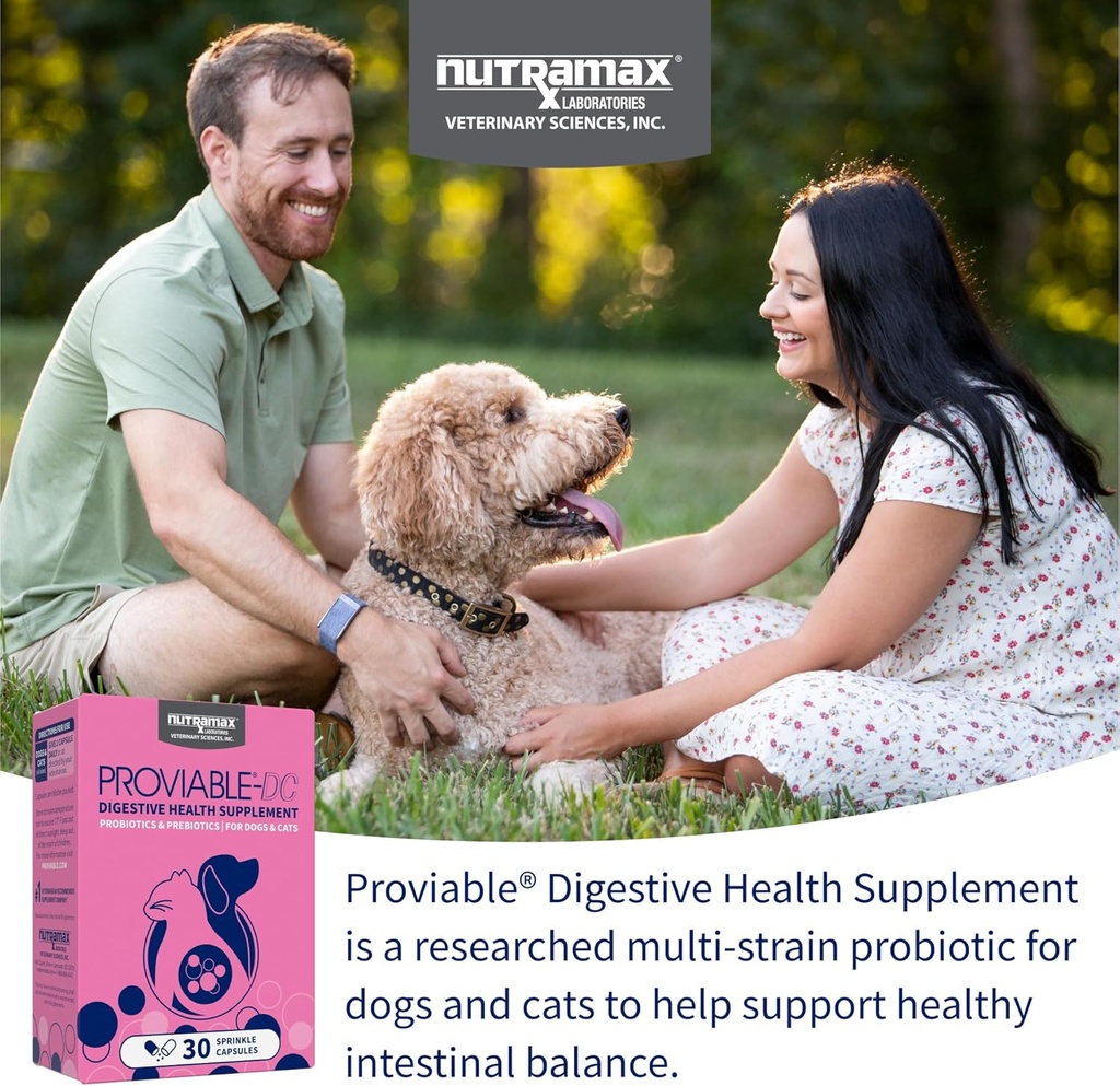 Nutramax Proviable Probiotics for Dogs and Cats, Daily Digestive Health Supplement with Multiple Strains of Bacteria, Cat and Dog Probiotics Plus Prebiotics, 30 Capsules 4