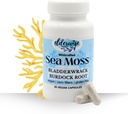Elderwise Sea Moss Capsules - Sea Moss with Burdockroot & Bladderwrack - Superfood Supplement - 60 Vegan Capsules - 30 Day Supply - Dosage 2 a Day - 1400 mg 2