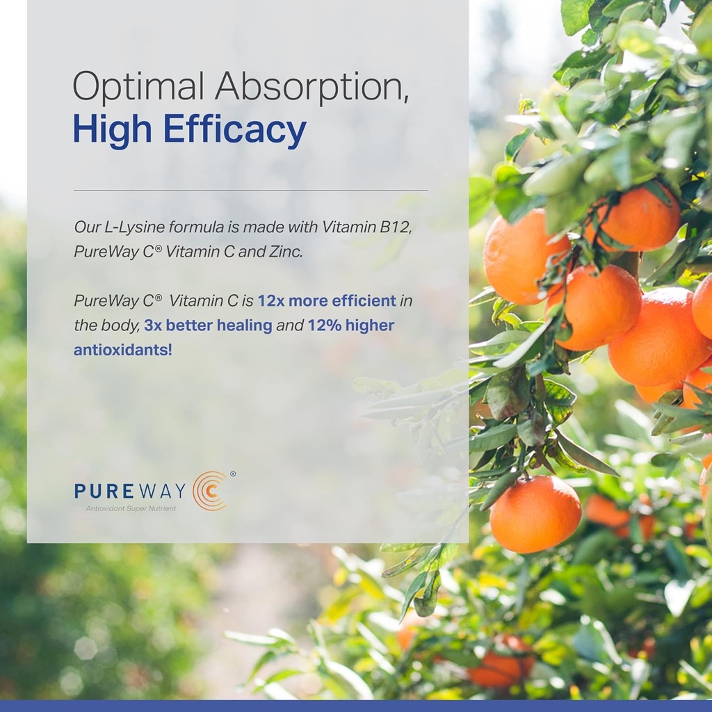 L-Lysine Supplement with Vitamin B12 + C + Zinc for Lip, Mouth, and Oral Tissue Health - Enhanced Wellness Support - Non-GMO, Gluten-Free - Made in USA - 60 Vegetable Capsules, 500mg 6