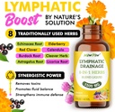 lymphatic-drainage-drops-pack-1--lymph-d-2.jpg