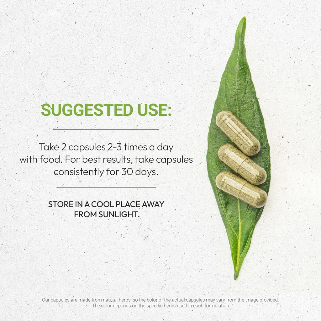 Secrets of the Tribe Hyssop USDA Organic Capsules | Certified Organic Vegetarian Capsules, Herbal Dietary Supplement | Hyssopus officinalis Dried Herb (60 Count) 4