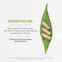 Secrets of the Tribe Hyssop USDA Organic Capsules | Certified Organic Vegetarian Capsules, Herbal Dietary Supplement | Hyssopus officinalis Dried Herb (60 Count) 4