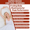Reishi Mushroom Gummies, Cortisol Supplements for Women & Men, with Reishi Mushroom Extract, Ashwagandha, Magnesium, Relaxation Herbals Blend for Rest, Calm, Immune & Energy, Vegan, 60 Gummies 6