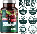 N1N Premium Uric Acid Support Supplement [14X Potent Herbs] All Natural Kidney and Uric Acid Cleanse with Tart Cherry, Milk Thistle, Cranberry, Celery, Chanca Piedra, 60 Veg Caps 5