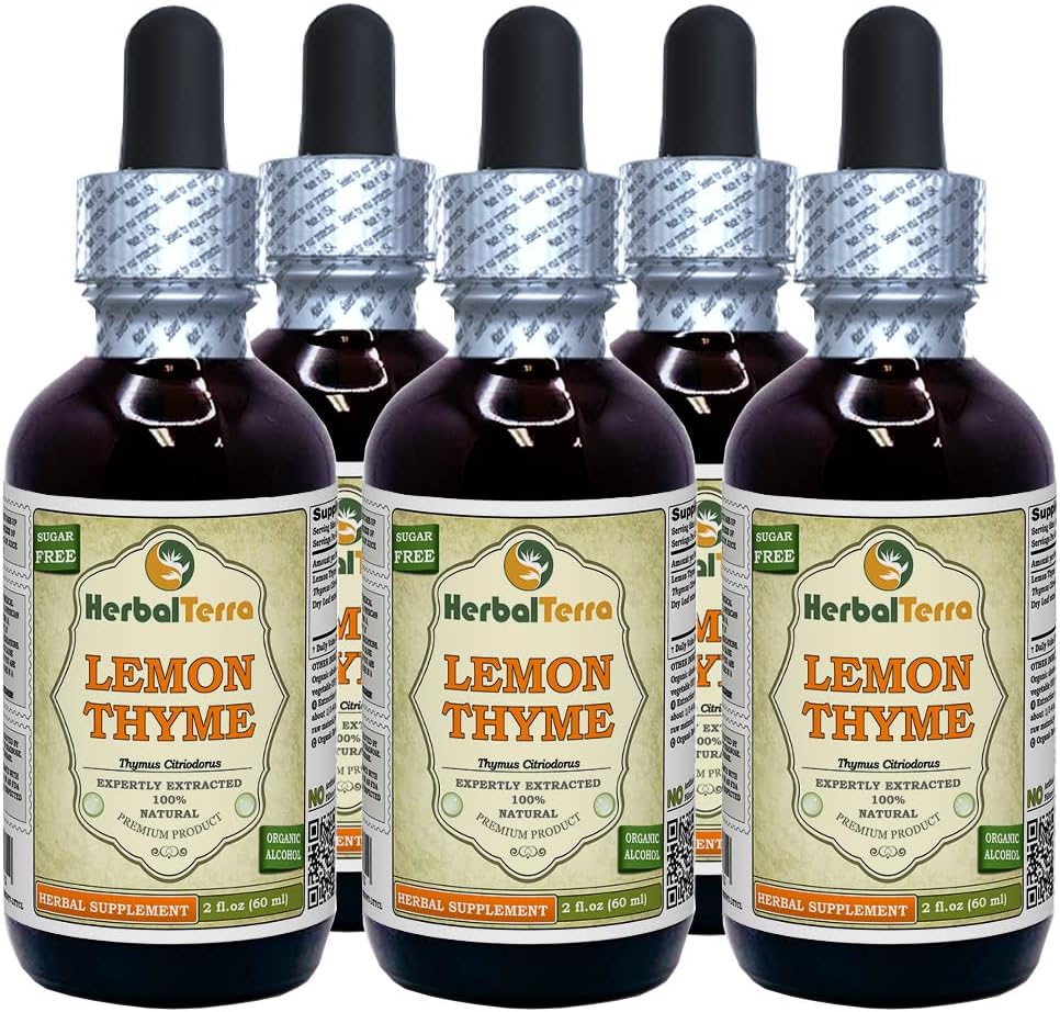 Lemon Thyme (Thymus x Citriodorus) Glycerite, Organic Dried Herb Alcohol-Free Liquid Extract (Brand Name: HerbalTerra, Proudly Made in USA) 2 fl.oz (60 ml) 4