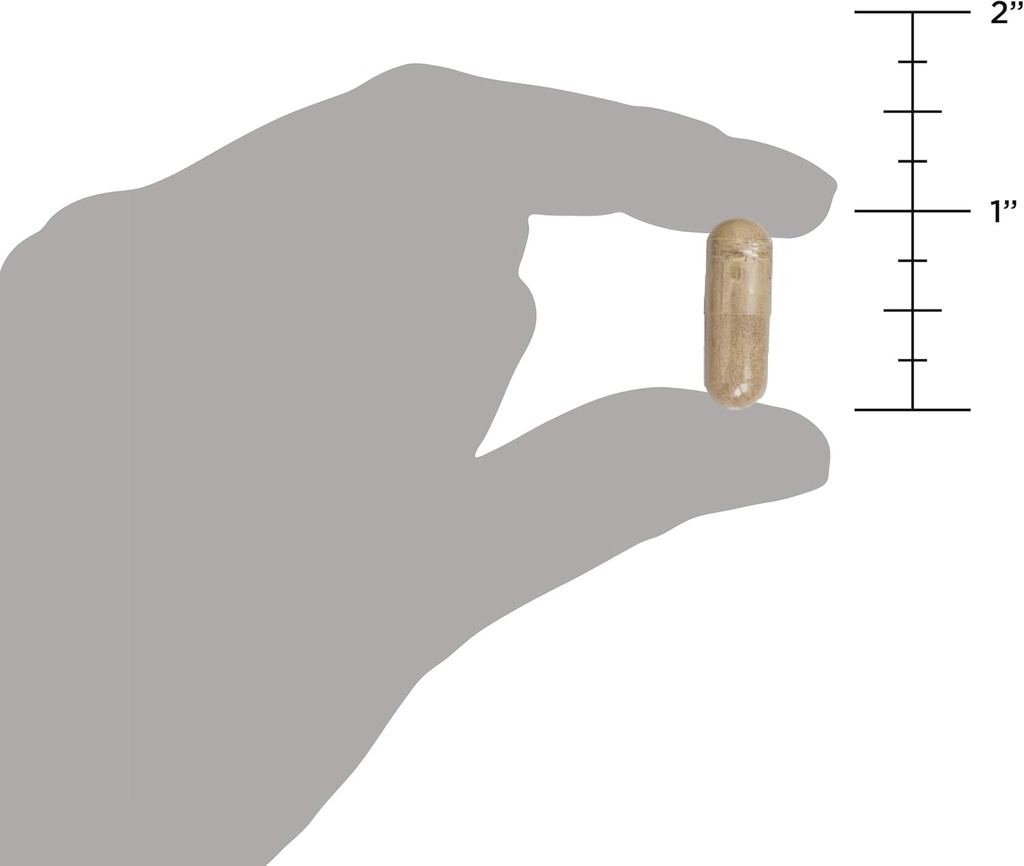 Ancient Nutrition Probiotics for Immune Support, Promotes Healthy Immune System, Reduces Diarrhea, Constipation, Gas and Bloating, Ancient Superfoods Blend, 50 Billion CFUs*/Serving, 90 Capsules 6