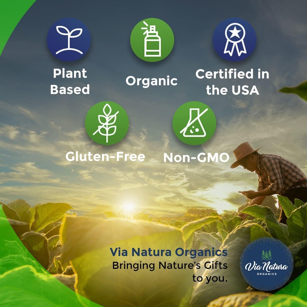 Turmeric & Ginger Capsules 1000mg | Organic Herbal Supplement | 120 Capsules 4