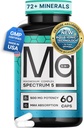 Spectrum 5 Magnesium | 5-in-1 Complex + 72 Trace Minerals for Enhanced Absorption | Irish Sea Sourced | 500mg per Serving | Made in USA, Third Party Tested, GMP Certified 2