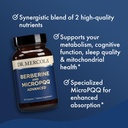 Dr. Mercola Berberine and MircoPQQ Advanced - Offers Metabolic, Mitochondrial, Brain & Immune Support - GMO-Free, Gluten-Free & Soy-Free - 30 Capsules (30 Servings) 6