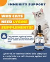 L-Lysine Supplement for Cats - Immune Support - 60ML Lysine for Feline Respiratory, Sneezing, Runny Nose, Eye Function - Natural Cat Antibiotic Drops - Roast Chicken Flavor 4