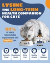 L-Lysine Supplement for Cats - Immune Support - 60ML Lysine for Feline Respiratory, Sneezing, Runny Nose, Eye Function - Natural Cat Antibiotic Drops - Roast Chicken Flavor 5