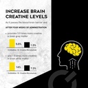 Micronized Creatine Monohydrate + GAA | Increase Strength, No Water Retention | Boosts Memory & Focus | Single-Serve Packets | 60 Sachets, 30 Servings | (Sachets, Unflavored) 4