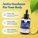 Liquid Collagen with Ashwagandha and L-Theanine - High Absorption 100,000 mcg Hydrolyzed Collagen Peptides Liquid Drops - Hair, Skin, Nails Health - Mood, Energy Levels Support – 2oz, 60 Servings. 3