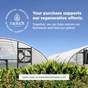 Ancient Nutrition Super Greens Powder, Organic Superfood Powder with Probiotics Made with Spirulina, Chlorella, Matcha, and Digestive Enzymes, 50 Servings, 14.1 oz 3