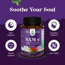 Bundle of Pure SAM E Supplement 150mg - Nootropic Same 150mg Per Serving for Memory & Brain Support and L Lysine 1000mg Free Form - L-Lysine Supplement for Eye Health Lip Care Collagen Synthesis 5