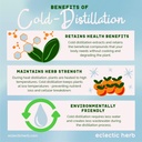 Eclectic Herbs Kid's Herbal Biotic (Lemon Lime Flavor) | Non-GMO, Gluten-Free, Organic Wildcrafted, Soy Free, Kid Friendly | 1 fl oz (30 ml) 6