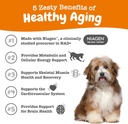 Zesty Paws NAD+ Precursor Supplement for Dogs - Niagen for Healthy Aging & Skeletal Muscle Support & Recovery - Brain, Heart, & Cellular Energy Support - Nicotinamide Riboside Chloride - 60 Capsules 3