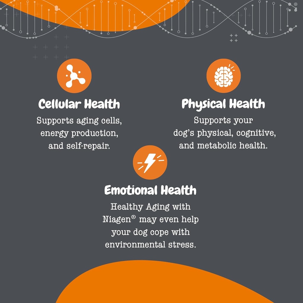 Zesty Paws NAD+ Precursor Supplement for Dogs - Niagen for Healthy Aging & Skeletal Muscle Support & Recovery - Brain, Heart, & Cellular Energy Support - Nicotinamide Riboside Chloride - 60 Capsules 6