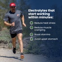 SaltStick Electrolyte FastChews - 60 Tropical Mango Chewable Electrolytes - Salt Tablets for Running and Hydration, Electrolyte Chews - 60 Count 4