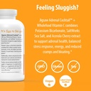 Jigsaw Health Adrenal Cocktail + Wholefood Vitamin C | with Potassium Bicarbonate, Sea Salt, and Acerola Cherry Extract | 360 Capsules | 60 Servings 5
