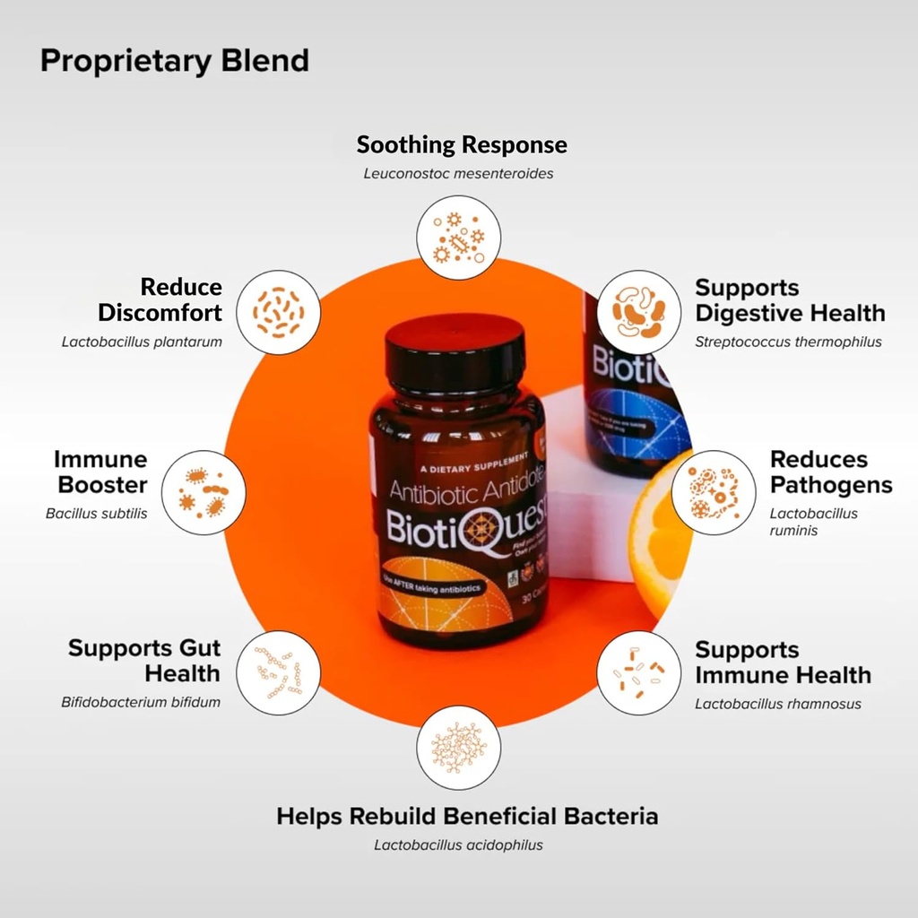 BiotiQuest Antibiotic Antidote Probiotics to Rebalance Body After Taking Antibiotics, 20 Billion CFU, Non-GMO, and Gluten Free, 30 Capsules 4