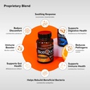 BiotiQuest Antibiotic Antidote Probiotics to Rebalance Body After Taking Antibiotics, 20 Billion CFU, Non-GMO, and Gluten Free, 30 Capsules 4