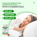 Ashwagandha Gummies, Extra Strength Vitamin D3, Organic Ashwa Root Extract Supplement for Calm Mood Relaxation & Immune Support, Mixed Berry Vegan Sugar Free Chews 60 Count 5