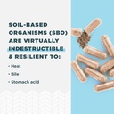 Ancient Nutrition Probiotics for Women, Once Daily Women's Probiotics 30ct, Digestive Support and Reduces Occasional Bloating, Made with Chaste Tree Berry and Amla Berry, 25 Billion CFUs* 6