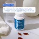 BodyBio PC - Phosphatidylcholine for Brain Health, Mental Clarity, Cognitive Function, Cellular Repair & Healthy Aging, Phospholipid Complex Supplement for Gentle Daily Detox 5