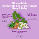 Natural Postnatal Bundle – Nourish, Momma, Glow for Nursing, Digestion, Healthy Baby and Mom 6